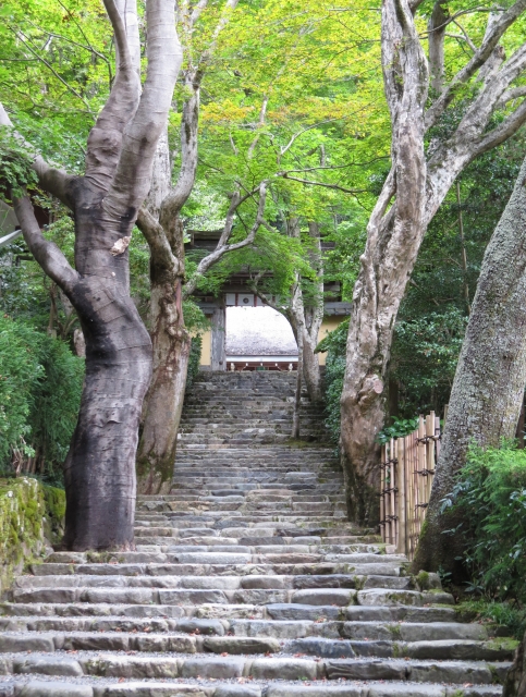 人混みが苦手な方におすすめの京都「穴場」観光スポットとは？