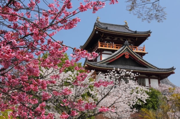 伏見桃山で七五三記念撮影